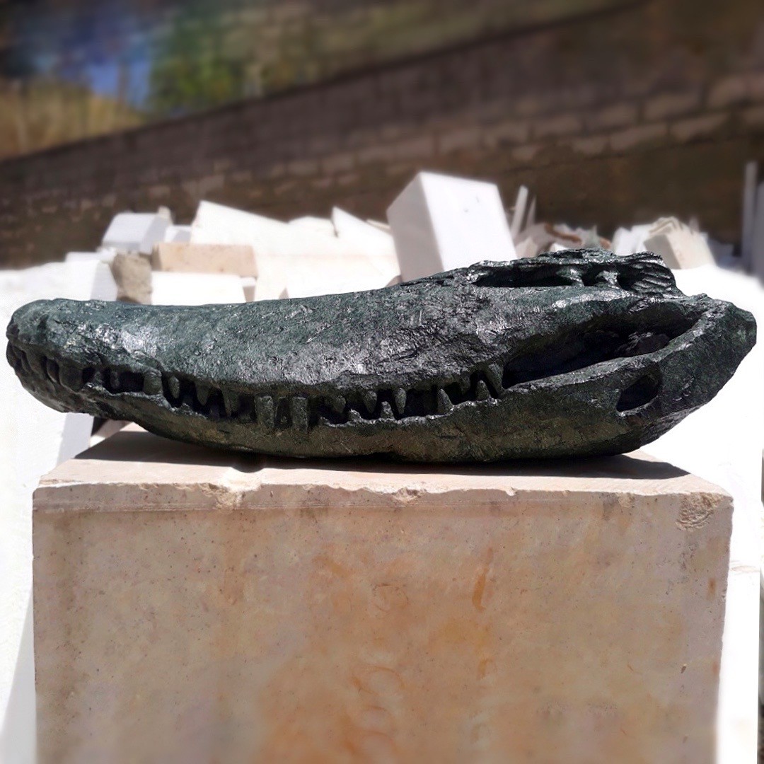 "Croco Skull"